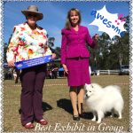 azlan big gympie 300618