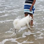beach fun 23