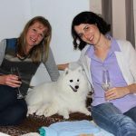 new beginning litter champgane