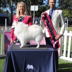 veteren in show