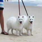 walking on beach small 3