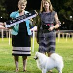 portia neuter in show